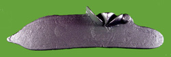 Continental Overcoat Pistol
